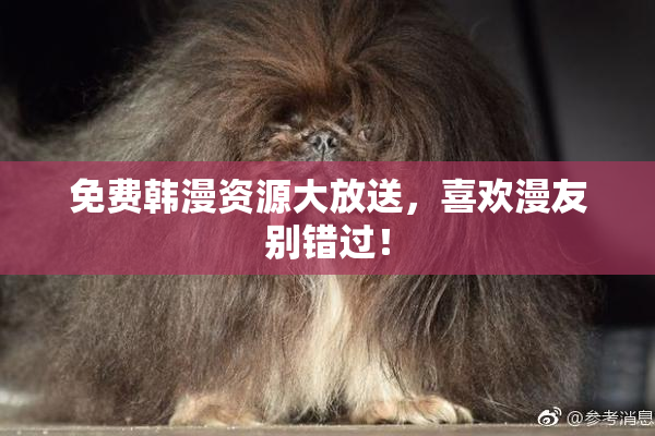 免费韩漫资源大放送，喜欢漫友别错过！