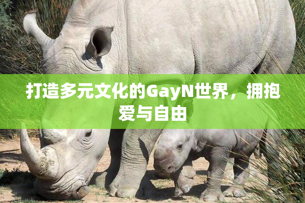 打造多元文化的GayN世界，拥抱爱与自由