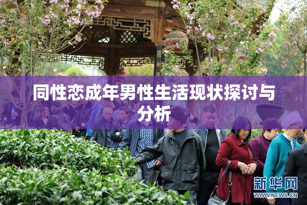 同性恋成年男性生活现状探讨与分析
