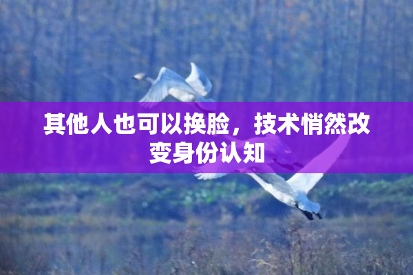 其他人也可以换脸，技术悄然改变身份认知