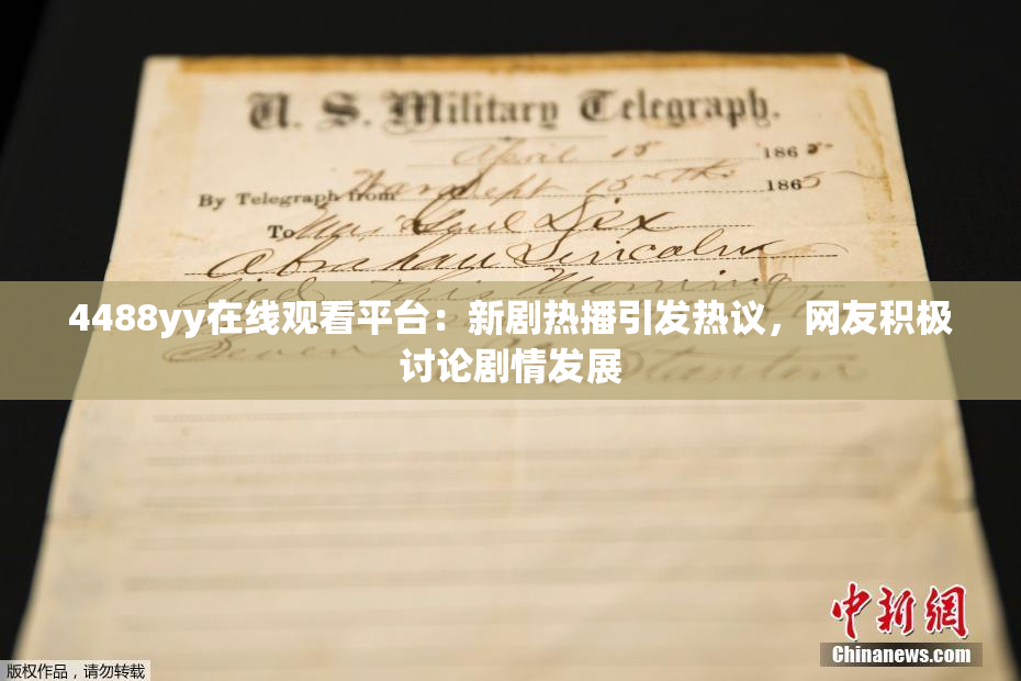 4488yy在线观看平台：新剧热播引发热议，网友积极讨论剧情发展