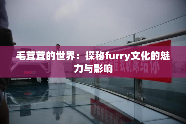 毛茸茸的世界：探秘furry文化的魅力与影响