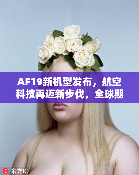 AF19新机型发布，航空科技再迈新步伐，全球期待飞行体验升级