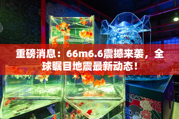 重磅消息：66m6.6震撼来袭，全球瞩目地震最新动态！