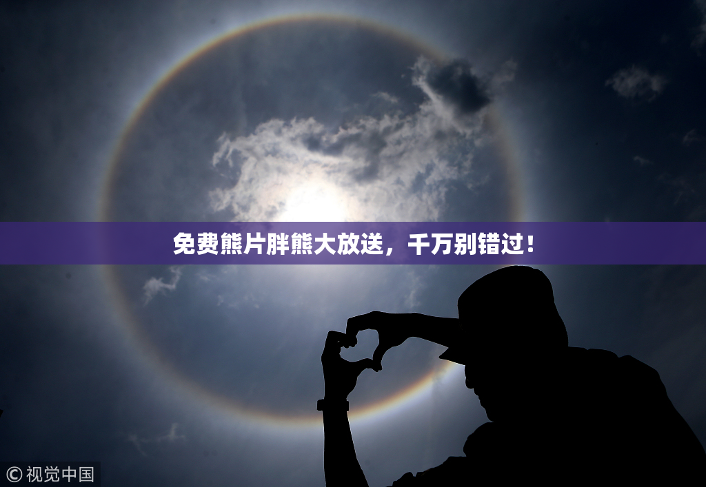 免费熊片胖熊大放送，千万别错过！