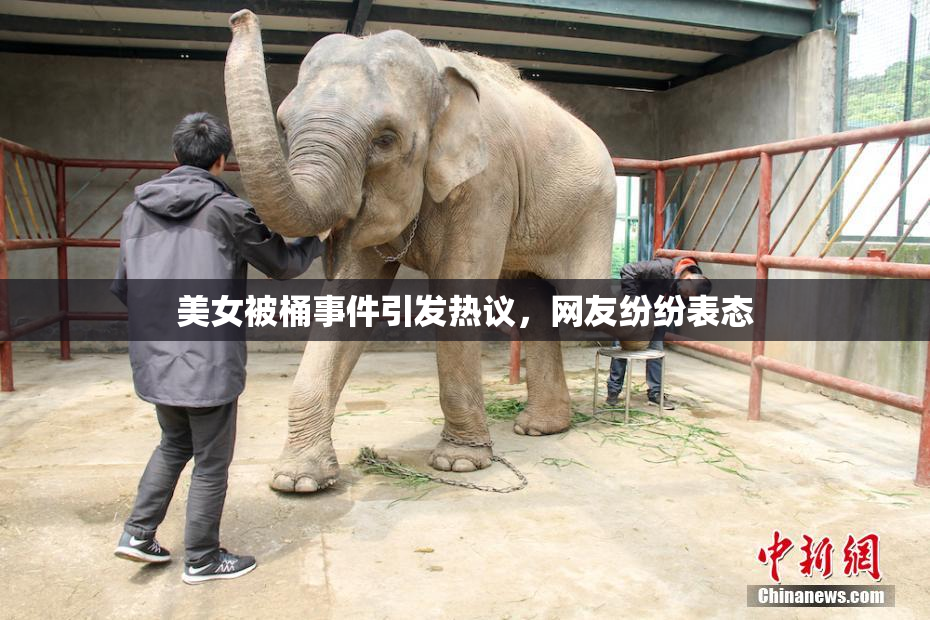 美女被桶事件引发热议，网友纷纷表态