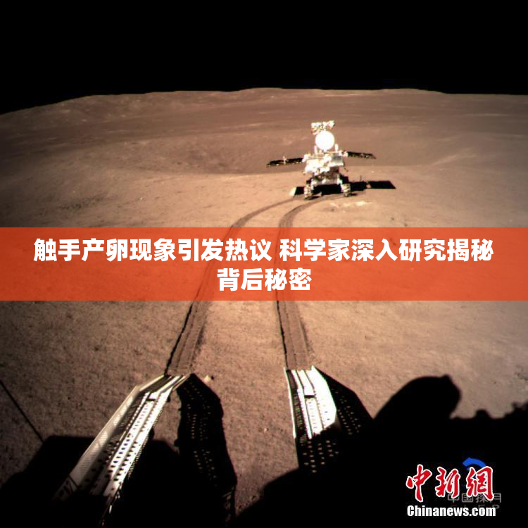 触手产卵现象引发热议 科学家深入研究揭秘背后秘密