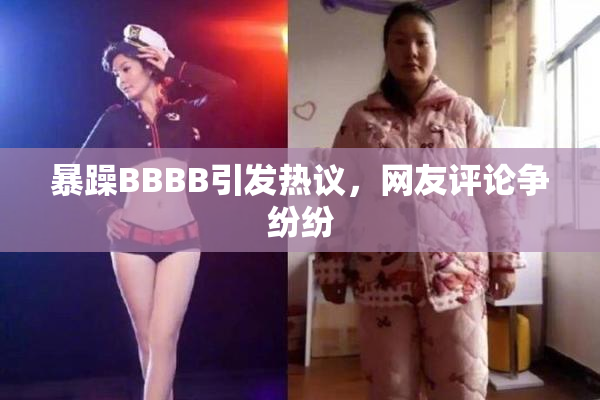 暴躁BBBB引发热议，网友评论争纷纷