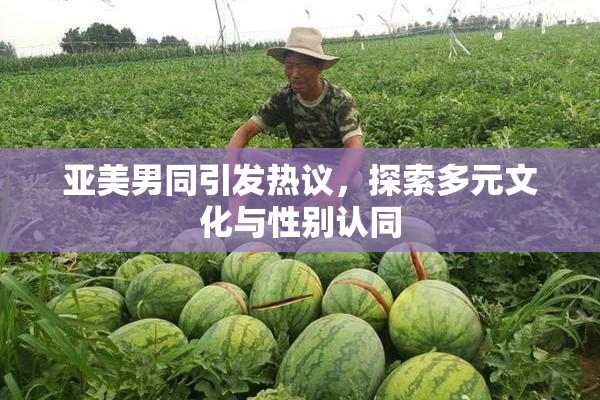 亚美男同引发热议，探索多元文化与性别认同