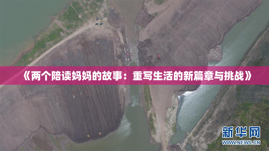 《两个陪读妈妈的故事：重写生活的新篇章与挑战》