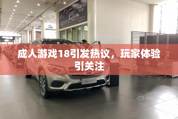 成人游戏18引发热议，玩家体验引关注