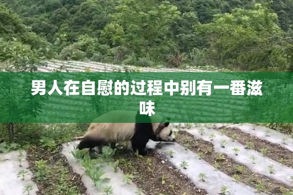 男人在自慰的过程中别有一番滋味