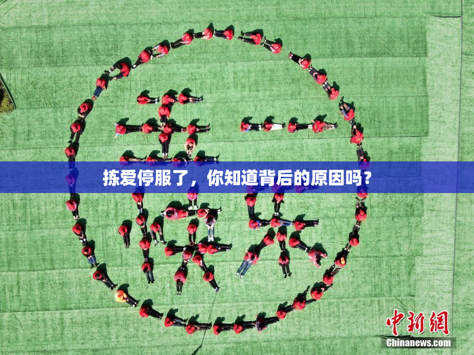 拣爱停服了，你知道背后的原因吗？