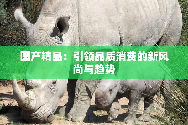 国产精品：引领品质消费的新风尚与趋势