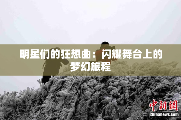 明星们的狂想曲：闪耀舞台上的梦幻旅程