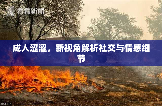 成人涩涩，新视角解析社交与情感细节