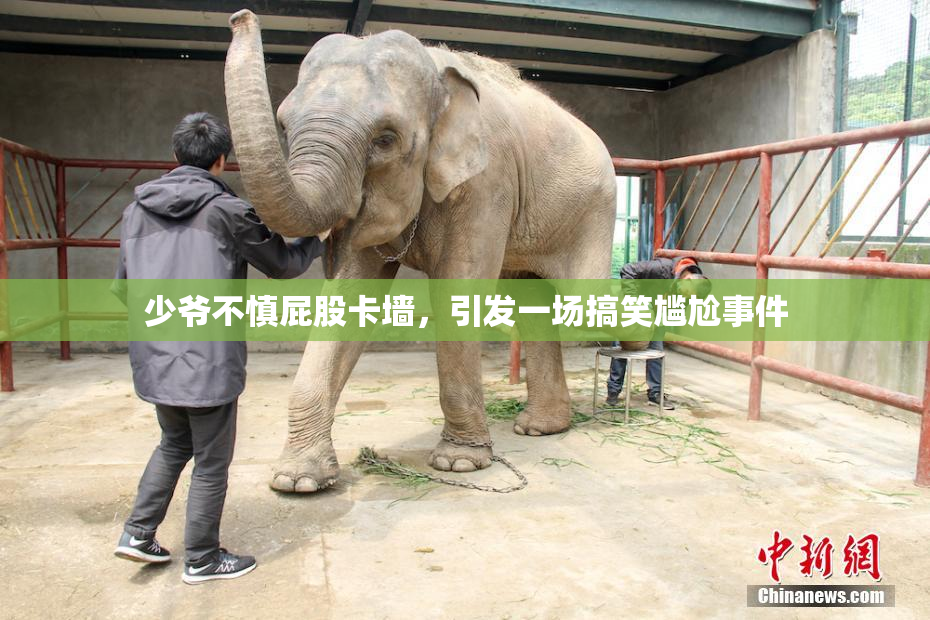 少爷不慎屁股卡墙，引发一场搞笑尴尬事件
