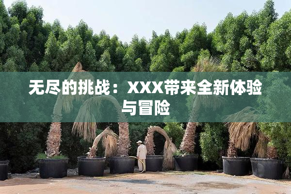 无尽的挑战：XXX带来全新体验与冒险