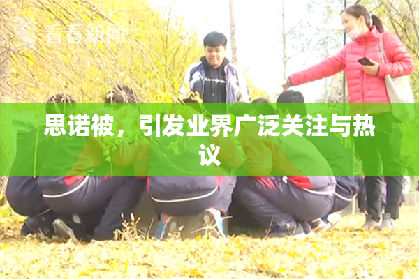 思诺被，引发业界广泛关注与热议