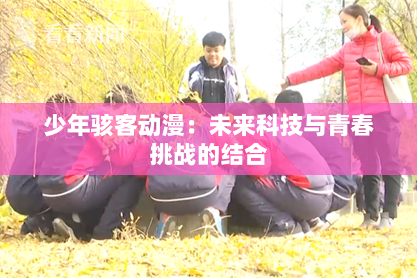 少年骇客动漫：未来科技与青春挑战的结合