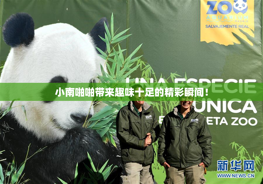 小南啪啪带来趣味十足的精彩瞬间！
