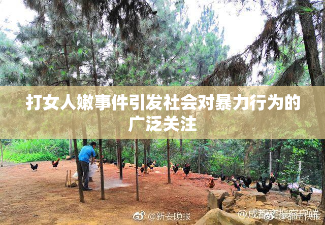 打女人嫩事件引发社会对暴力行为的广泛关注