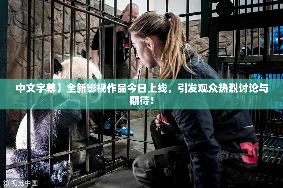 中文字幕】全新影视作品今日上线，引发观众热烈讨论与期待！