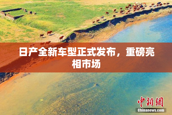 日产全新车型正式发布，重磅亮相市场