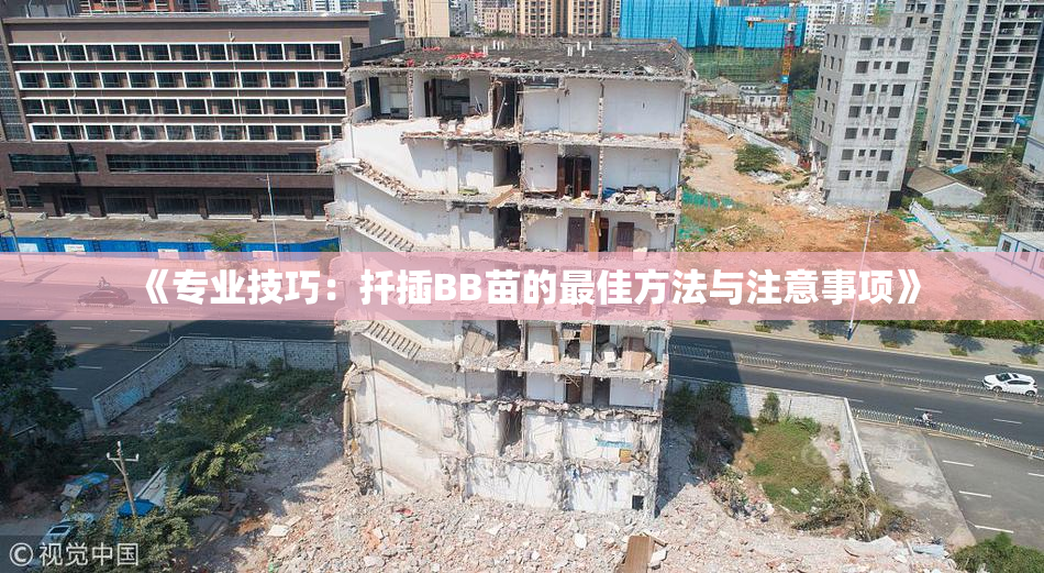 《专业技巧：扦插BB苗的最佳方法与注意事项》