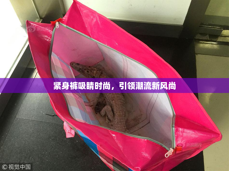 紧身裤吸睛时尚，引领潮流新风尚