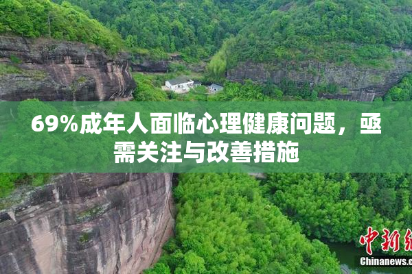 69%成年人面临心理健康问题，亟需关注与改善措施