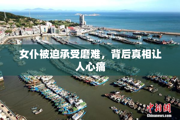 女仆被迫承受磨难，背后真相让人心痛