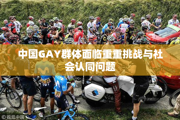 中国GAY群体面临重重挑战与社会认同问题