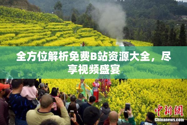 全方位解析免费B站资源大全，尽享视频盛宴