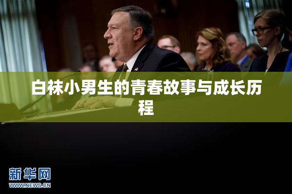 白袜小男生的青春故事与成长历程