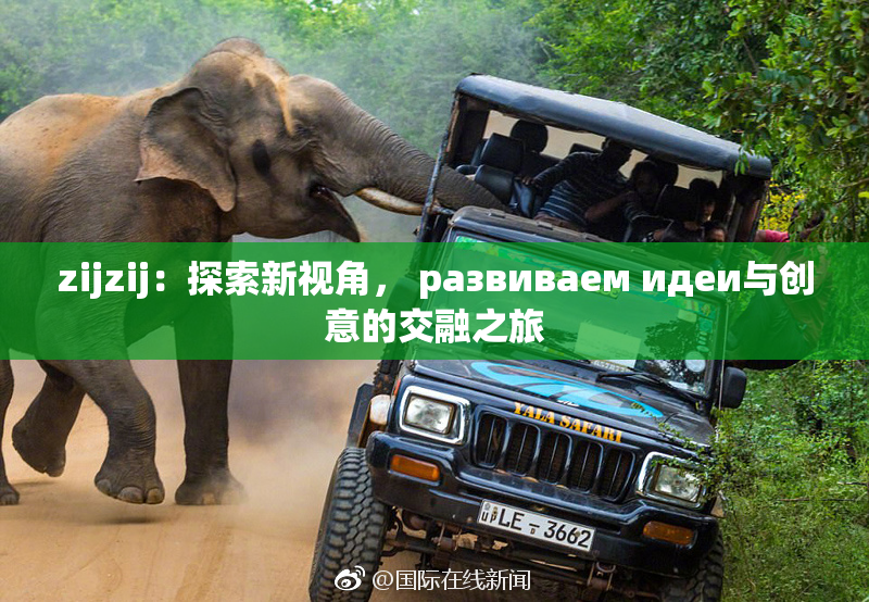 zijzij：探索新视角， развиваем идеи与创意的交融之旅