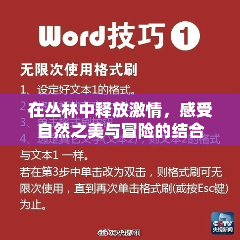 在丛林中释放激情，感受自然之美与冒险的结合