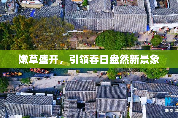 嫩草盛开，引领春日盎然新景象