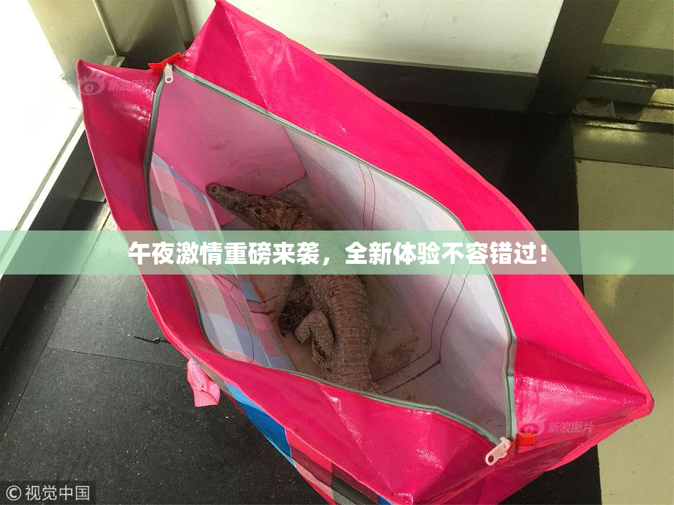 午夜激情重磅来袭，全新体验不容错过！