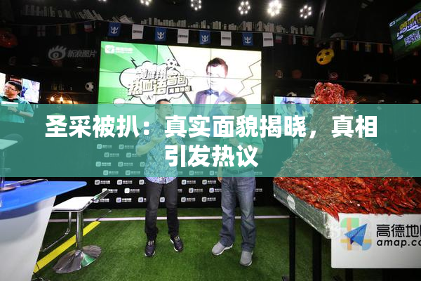圣采被扒：真实面貌揭晓，真相引发热议