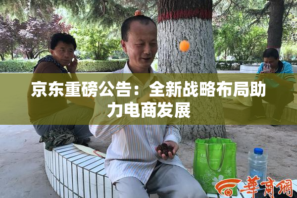 京东重磅公告：全新战略布局助力电商发展