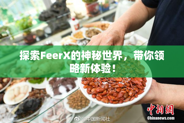 探索FeerX的神秘世界，带你领略新体验！