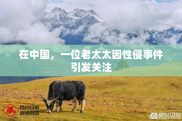 在中国，一位老太太因性侵事件引发关注