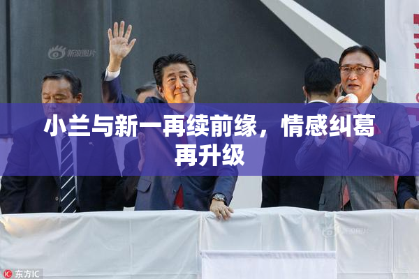 小兰与新一再续前缘，情感纠葛再升级
