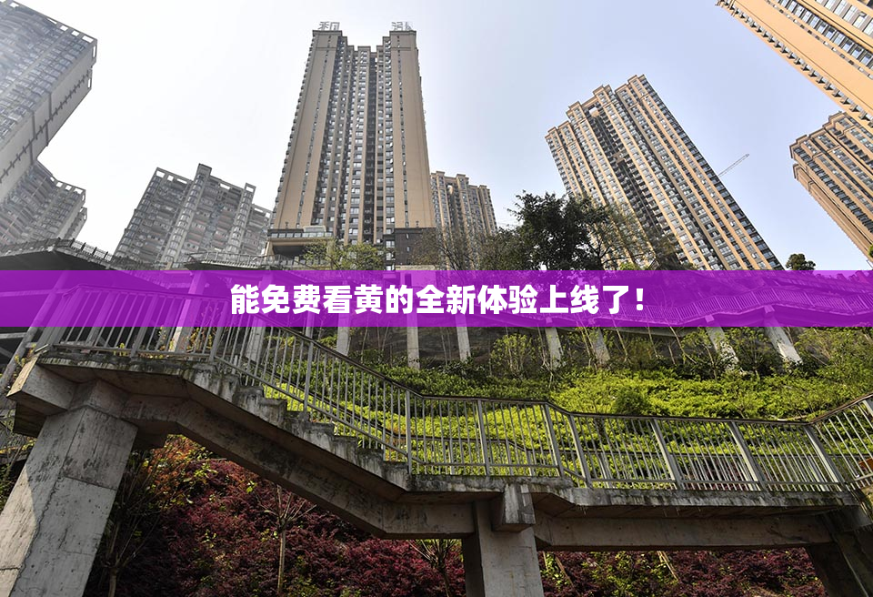 能免费看黄的全新体验上线了！