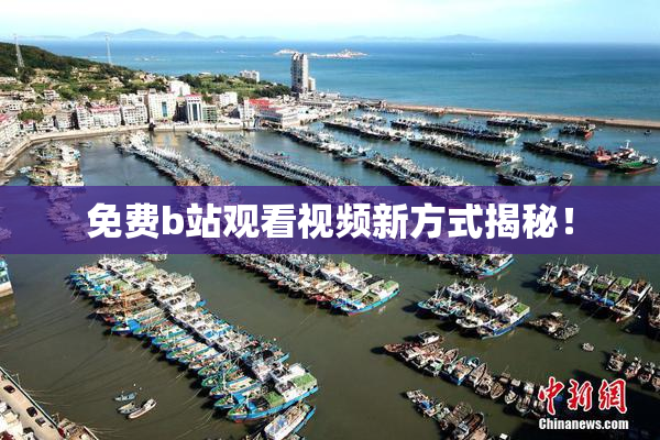 免费b站观看视频新方式揭秘！