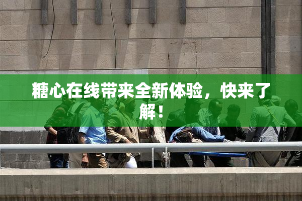 糖心在线带来全新体验，快来了解！