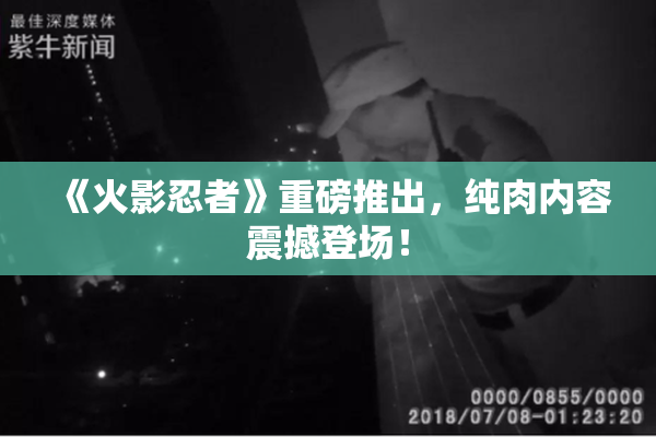 《火影忍者》重磅推出，纯肉内容震撼登场！