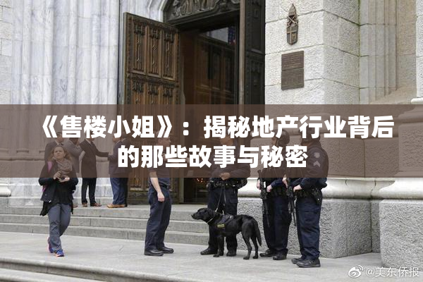 《售楼小姐》：揭秘地产行业背后的那些故事与秘密