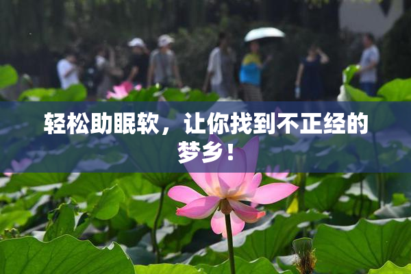 轻松助眠软，让你找到不正经的梦乡！